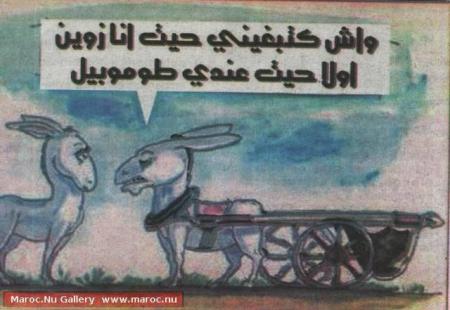 allé les arabs vous avez compris