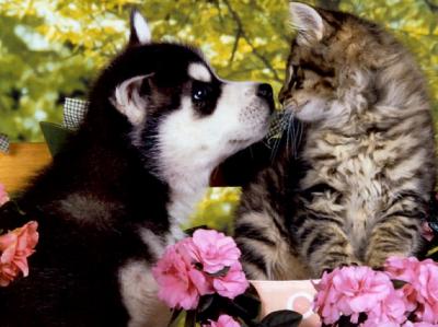 trop mignon